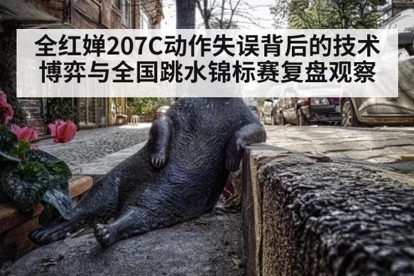 全红婵207C动作失误背后的技术博弈与全国跳水锦标赛复盘观察